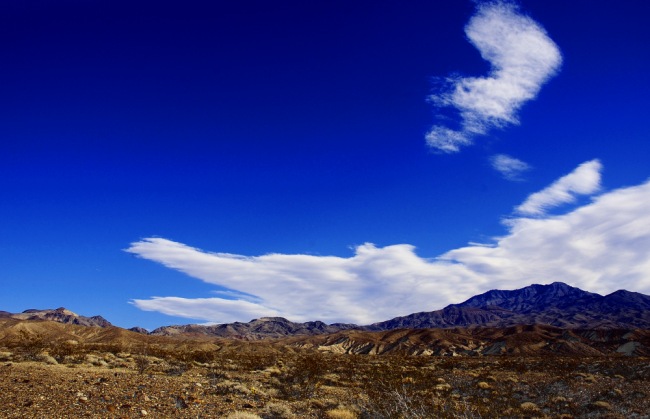 Crocodile Cloud